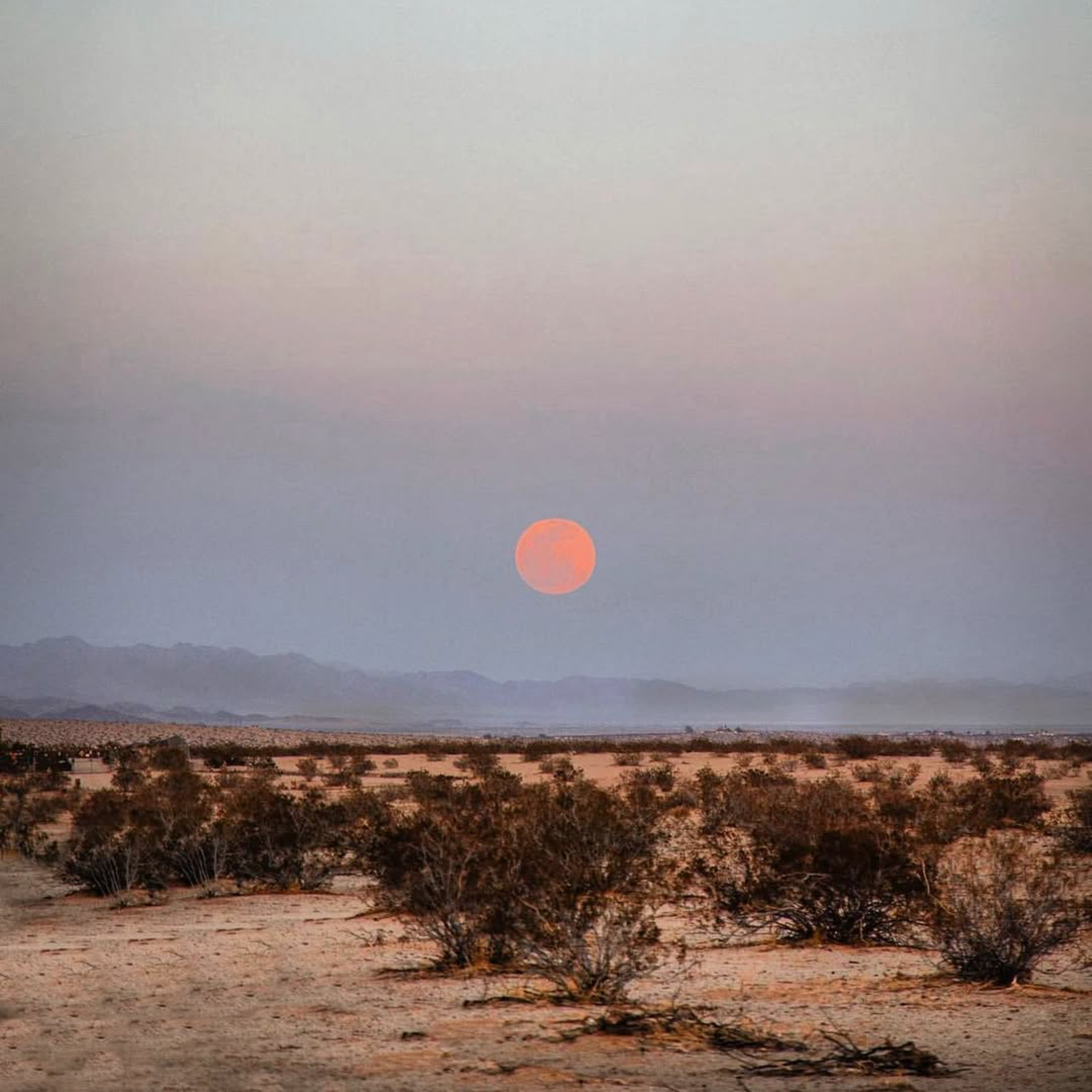 Desert landscape at dusk with a full moon