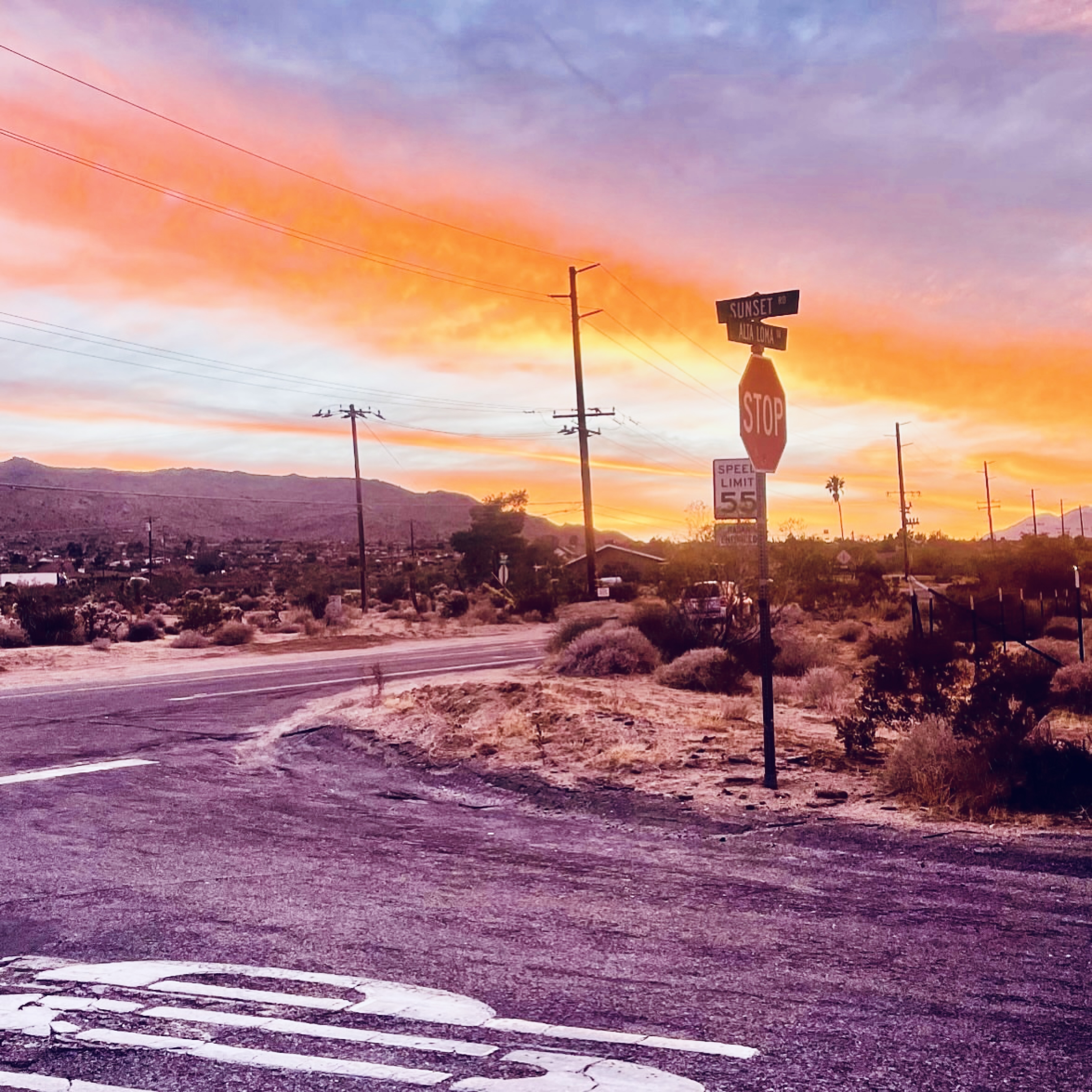 The Desert Door residency